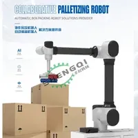 Top Sale Automatic Collaborative Palletizing Workstation for Pallet Carton Boxes Machine