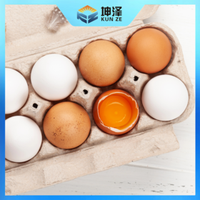 Egg Crates For Chicken Eggs Carton Boxes Wholesale Biodegradable Paper Pulp Packaging 30 Egg Tray Duck