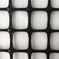 ISO9001 Soil Reinforcement Geogrid Asphalt Reinforcement Crack Preventing