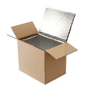 Custom Logo insulated cooler thermal polystyrene foam boxes carton for transporting frozen cold chain