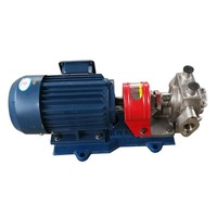 Other 1Cubic 20 Gauge Stainless Steel Insulation Pump Manufacturer Asphalt Insulation Pump Paraffin Pump