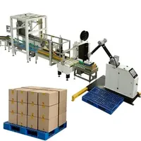 Cobot Palletizer, , Collaborative for Bags Cartons Box