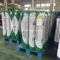 PVC Polyvintl Asphalt Bituminous Ground Roof Membrane for Waterproofing
