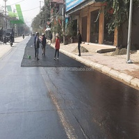 Bitumen Coating Fiberglass Geogrid Asphalt Reinforcement Fiberglass Geogrid Price