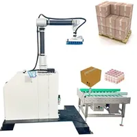 Automatic 16kg Carton Collaborative Palletizer Workstation