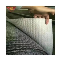 Biaxial Fiberglass Geogrid Bentonite Clay Liner Asphalt Pavement Reinforcement Geogrid Industrial Manufacturing Fiberglass