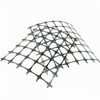 Contemporary 15kn Per Square Meter Road Geogrid Polyester Asphalt Anti-Crack Biaxial Geogrid Retaining Walls