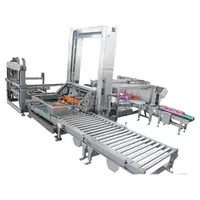 Automatic Palletizer for Cartons and Bags