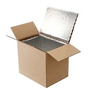 Custom Logo insulated food cooler thermal polystyrene foam boxes carton for transporting frozen cold
