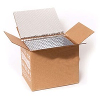 Custom Logo insulated cooler thermal polystyrene foam boxes carton for transporting frozen cold chain