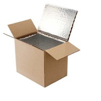 Custom Logo insulated cooler thermal polystyrene foam boxes carton for transporting frozen cold chain