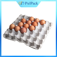 Eggs Crates Hot Sales Egg Trays Biodegradable Recycled Pulp Fiber Eggs Carton with Retail and Wholesale