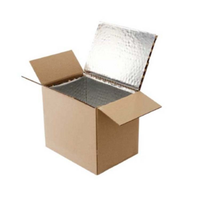 Custom Logo insulated cooler thermal polystyrene foam boxes carton for transporting frozen cold chain