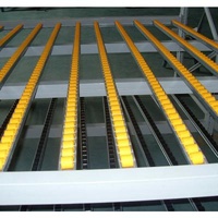 Heavy Metal Steel High Density Gravity Flow Racking Carton Live Racks Carton Flow Rackings Rolling Racks
