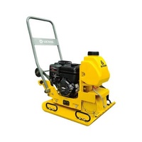 Diesel Engine of Asphalt Plate Compactor Machine Match of CONSTRUCTION SITE