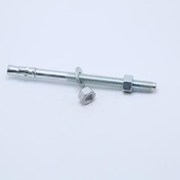 Carbon Steel / Stainless Steel / Customize Galvanized Chemical Expansion T Wedge M12 Anchor Bolts Anchor Prices For Asphalt