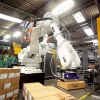 Customize Automatic Robot Servo Palletizer for Carton Box and Bags