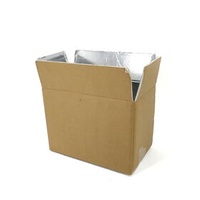 Custom Logo insulated food cooler thermal polystyrene foam boxes carton for transporting frozen cold