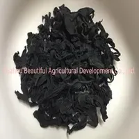 Factory Supply Natural Seaweeed Dried Wakame Cut 10kg in Cartons