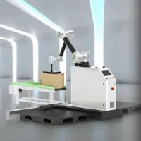 Cobot Palletizer Collaborative Robot Palletizer for Bags Cartons Box