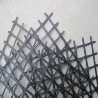 Durable Warp Knitted Polyester Geogrid 20KN/M for Asphalt Wall