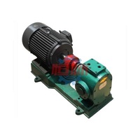 Organic Fuel Industry Bitumen/Gear Fuel Pump Asphalt Pump Standard Cast Iron or Stainless Steel as per type