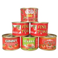 800g Canned Tomato Paste to Africa Market with Private Label 800g 400g 210g Cartons with High quality Fresh Red Color OEM Brand