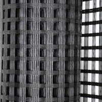 Modern Asphalt Pavement Glassfiber Geogrid High Tensile Strength Fiberglass Geogrid Prices