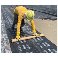 High Polymer Self-Adhesive Modified Bituminous Waterproof Membrane Import Building Material for Roof House China