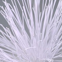Reinforced PVDF Hollow Fiber Membrane