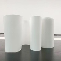 0.22µm Nylon Membrane Filters Hydrophilic Polyester Reinforced