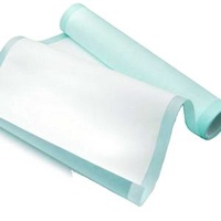 Nitrocellulose Transfer Membrane NC Blotting Membrane Roll 0.22/0.45um 30cm*3meter