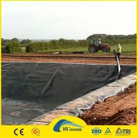 Indonesia Fish Farming HDPE Membrane China Factory Geomembrana