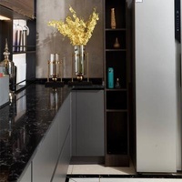 Small Kitchen Membrane Pressure Plate MDF Design Modular Kitchen Cabinets