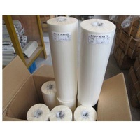 Printing Stores BOPP Thermal Lamination Cold Hot Film Roll For Laminator