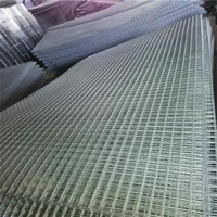 Hot Dipped Galvanized Welded Wire Mesh Panels Firm Structure For Runway Enclosures