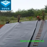 ASTM Impermeable HDPE Membrane for Shrimp Farm with Best Price