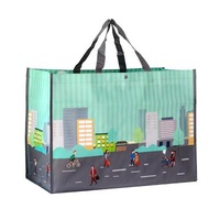 Customized washable promotional cheap color printed bopp laminated pp woven bag