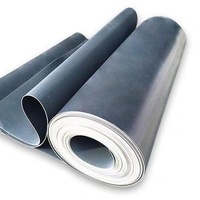 EPDM Waterproof Roofing Membrane Butyl Rubber Flexible TPO Geomembrane Pond Liner Sheet
