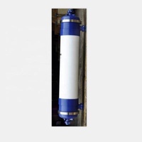 Hotels PS Fiber UF Membrane UF1IA315L Model Hollow Fiber Membrane Water Filter UF Membrane Modules