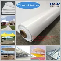 900g PVC Membrane for Outdoor Tent China Factory