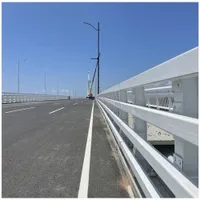 RSs-cb023 Carsh Steel Fence Welded Roadway Bridge Guardrail