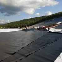 HDPE Geo Membrane Impermeable Geomembrane Dam Agricultural Fish Farm Tank
