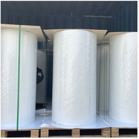 Glossy White Self Adhesive BOPP Jumbo Rolls for Label Sticker, 2000m Length or Custom