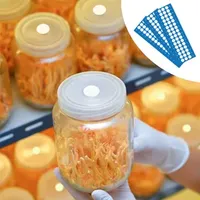 48PCS/Piece PTFE 0.2um Waterproof Breathable Membrane Paster Synthetic Filter Adhesive Sticker for Mushroom Tissue Culture Lid