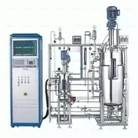 Ollital Anaerobic Membrane Bioreactor Bioreactor 100L