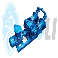 Customized Cast Iron Electric Diaphragm Pump Membrane Pumps Compact Structure