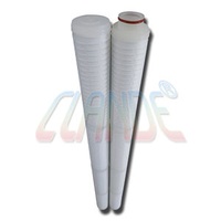 0.1/0.2/1 Micron PP/PES/Nylon/PTFE Membrane Absolute Pleated Filter Cartridge For Water Treatment