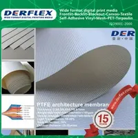Outdoor High Quality Prefabricated Structures Tensile Architecture Materia Fabric Membrane Structure