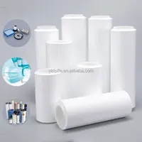 UNM 100% PTFE E10 ePTFE Film Air Membrane